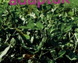 
                                                    img-KATEGORIE JINÉ-4
                        