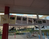 
                                                    img-Animal Alphabet Chain - Abecední řetěz zvířátek-2
                        