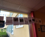 
                                                    img-Animal Alphabet Chain - Abecední řetěz zvířátek-4
                        