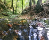 
                                                    img-KATEGORIE VODA-3
                        