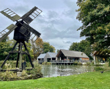 
                                                    img-Weald and Downland Living Museum-12
                        