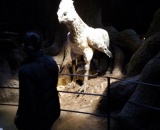 
                                                    img-Anglie 13.3. - 18.3.2019 - info-33
                        