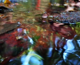 
                                                    img-KATEGORIE VODA-1
                        