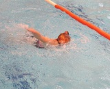 
                                                    img-Plavecké závody na Praze 11-3
                        