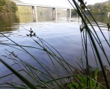 
                                                    img-KATEGORIE VODA-5
                        