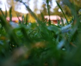 
                                                    img-KATEGORIE PŘÍRODA - LISTY A TRÁVA-5
                        