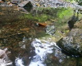 
                                                    img-KATEGORIE VODA-4
                        