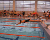 
                                                    img-Plavecké závody na Praze 11-7
                        