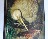 
                                                    img-Květňák Around the World - Květňák kolem světa-5
                        