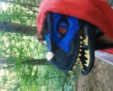 
                                                    img-KATEGORIE ZVÍŘE-2
                        