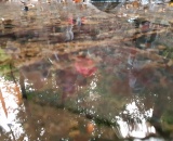 
                                                    img-KATEGORIE VODA-2
                        