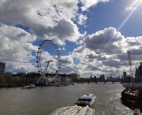 
                                                    img-Anglie 13.3. - 18.3.2019 - info-23
                        