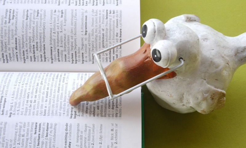 Baví nás studovat cizí jazyky