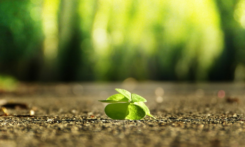 Výchovná poradkyně