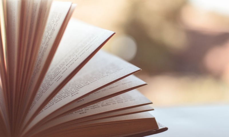 Školní čtenářské kluby, Centrum kolegiální podpory