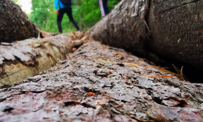 Fotografické soutěže